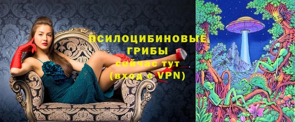 дмт Алзамай