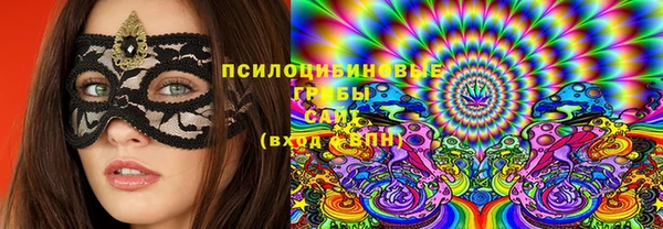 дмт Алзамай