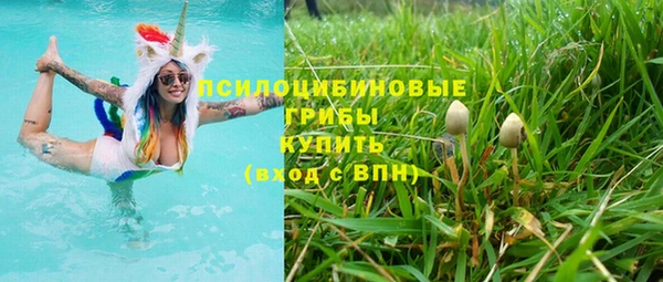 дмт Алзамай