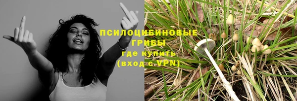 дмт Алзамай