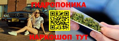a pvp Сланцы