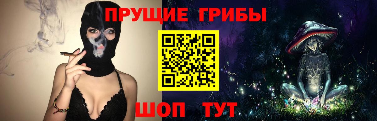Чернушка  Псилоцибиновые грибы прущие грибы  Вход с VPN 